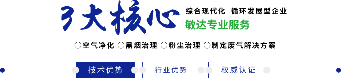 大鸡巴尻逼逼敏达环保科技（嘉兴）有限公司